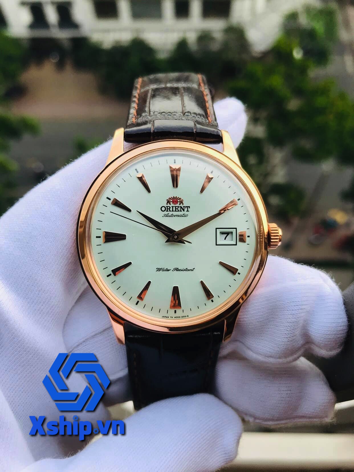 Orient Bambino Version 1 FAC00002W0 (SAC00002W0)