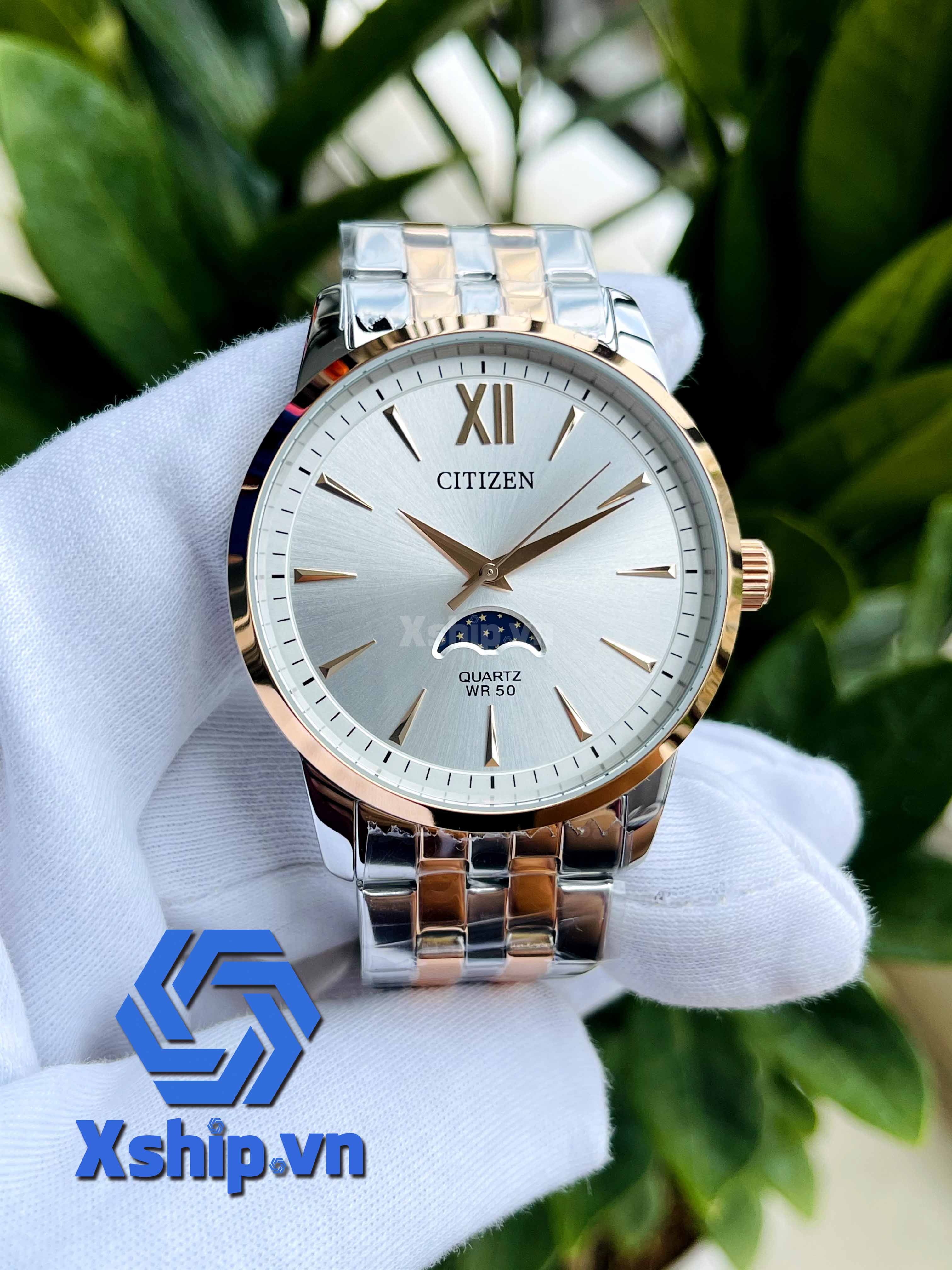 Citizen MoonPhase AK5006-58A