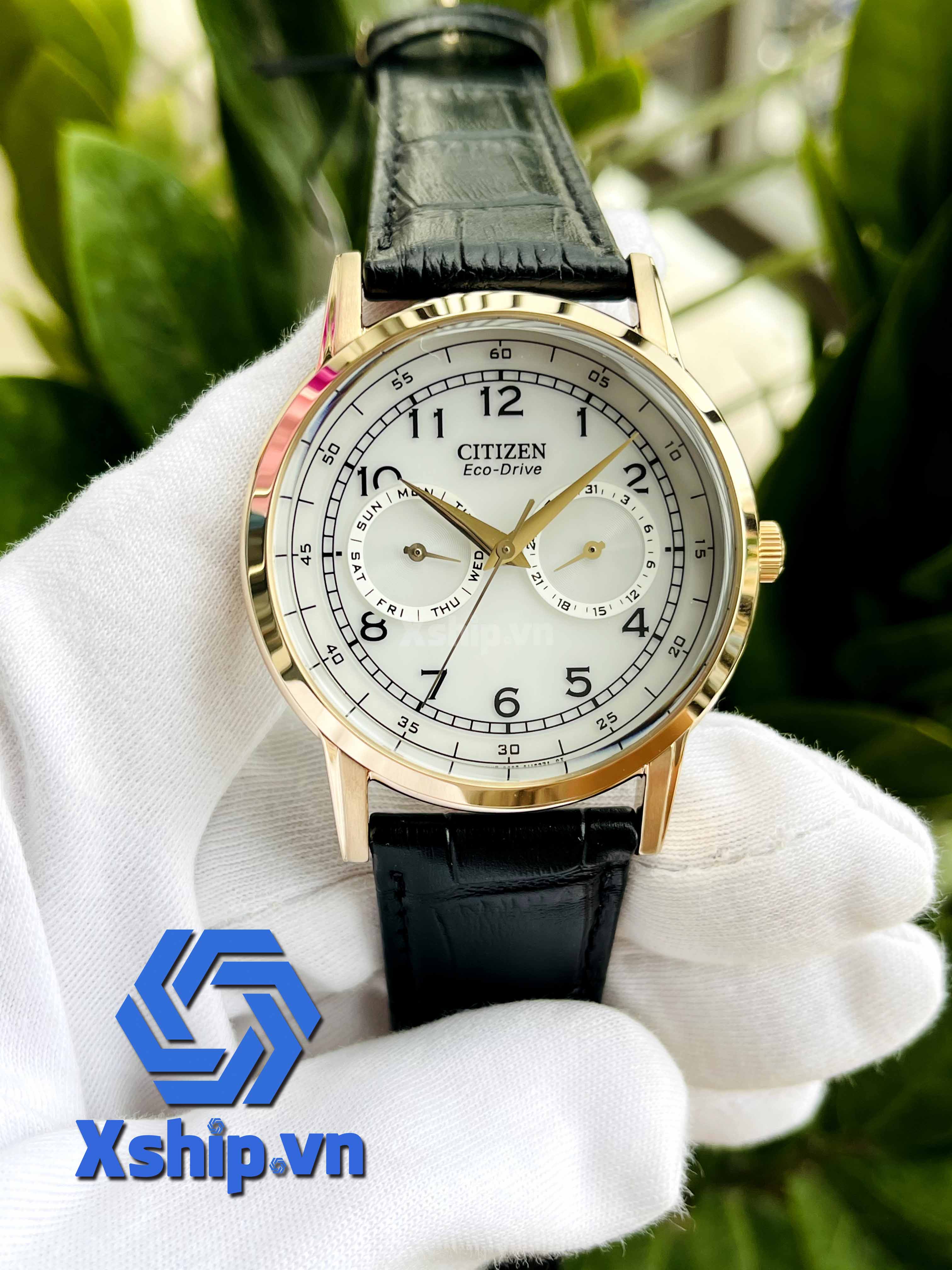 Citizen Eco Drive AO9003-16A