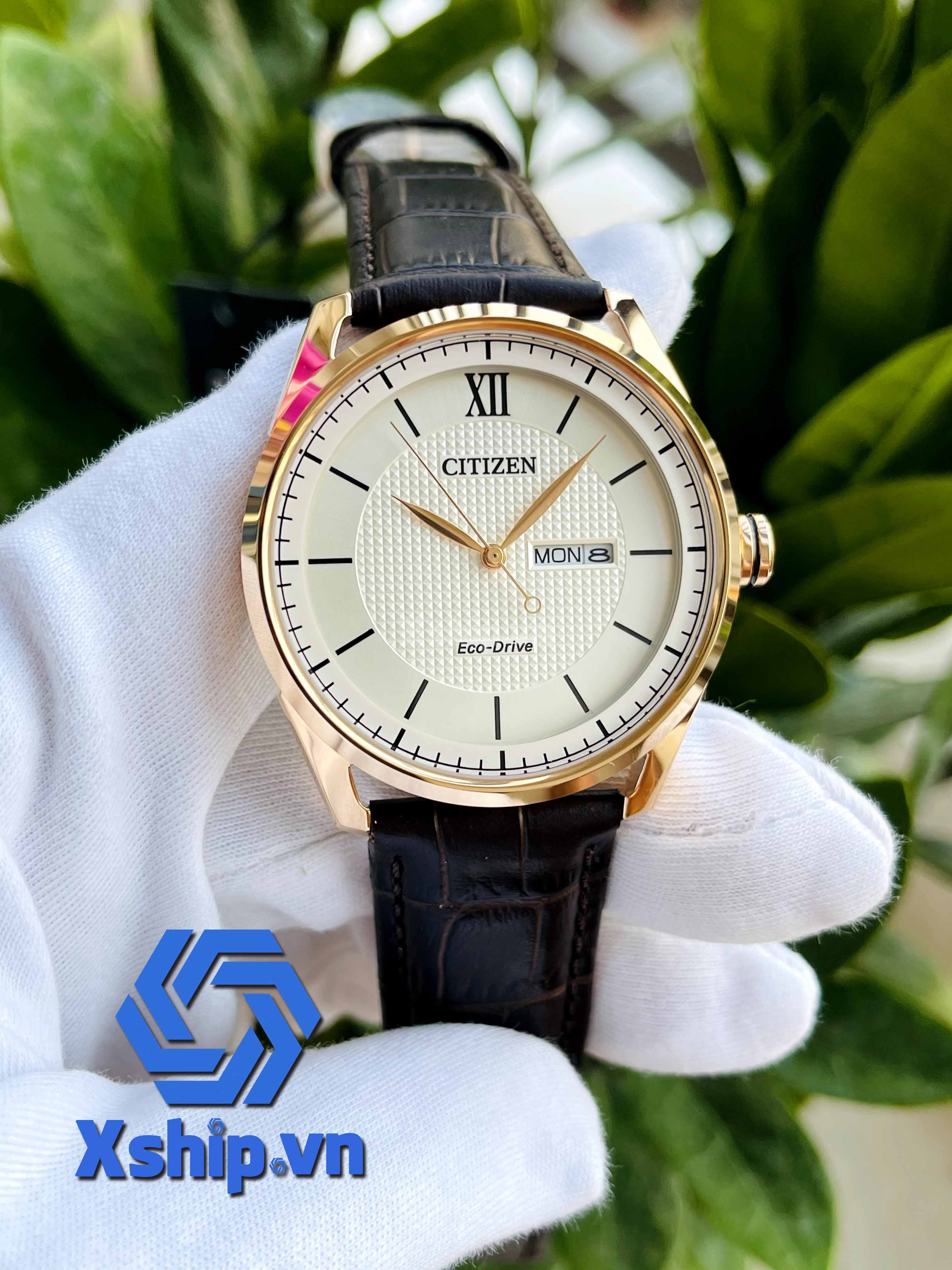 Citizen Eco-Drive AW0082-19A