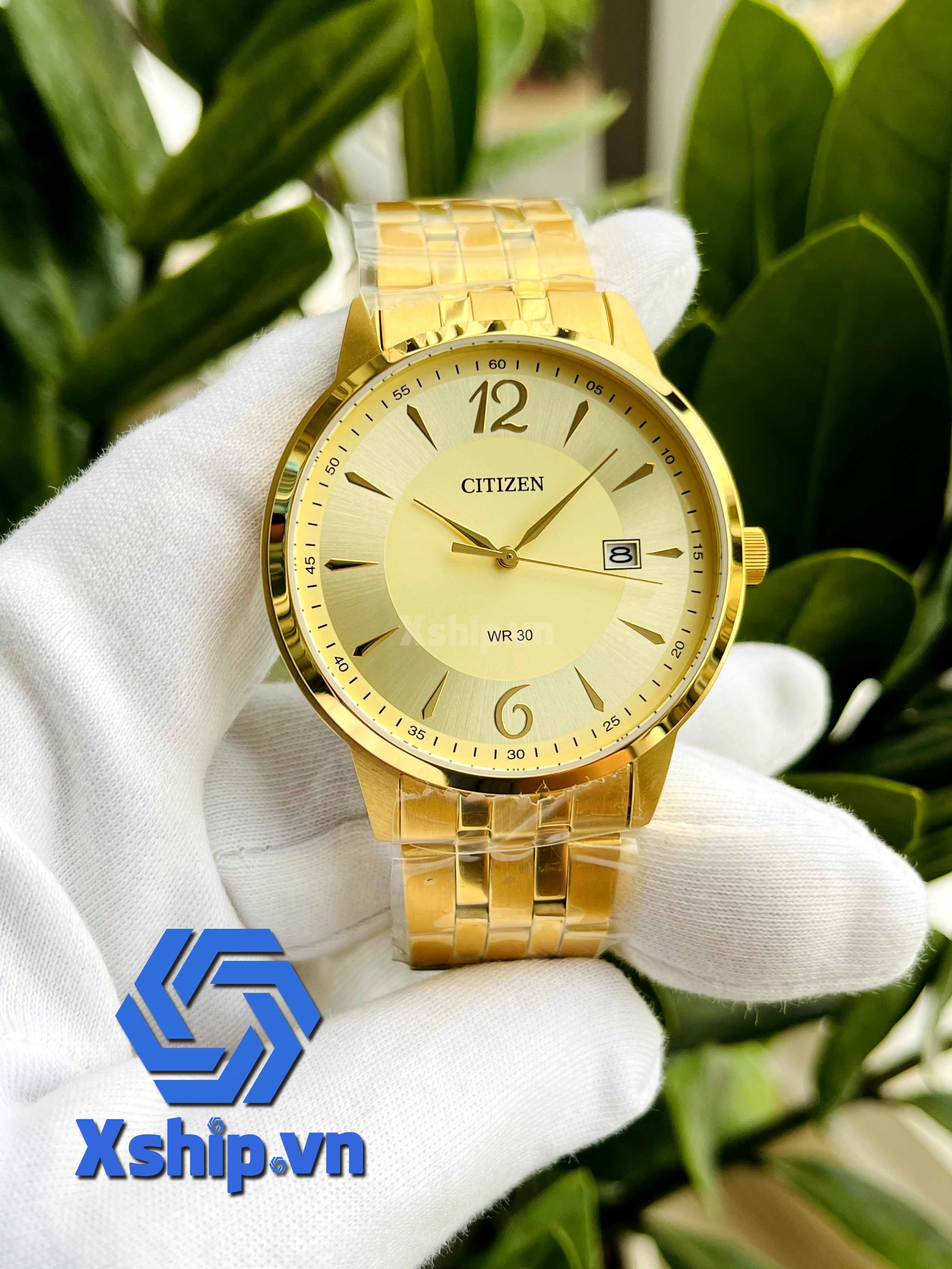 Citizen Quartz DZ0032-59P