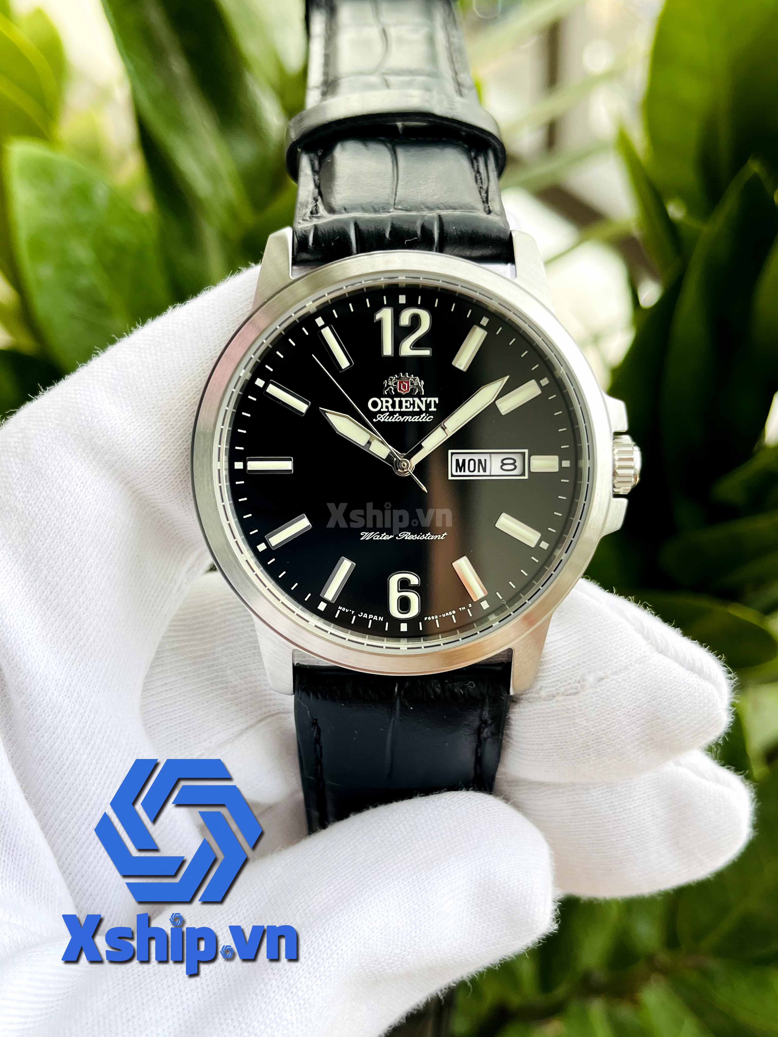 Orient Contemporary RA-AA0C04B19B